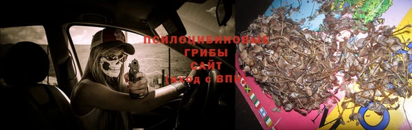 бутират Алексин