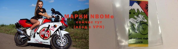 дмт Алзамай