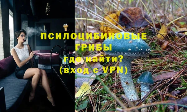 дмт Алзамай