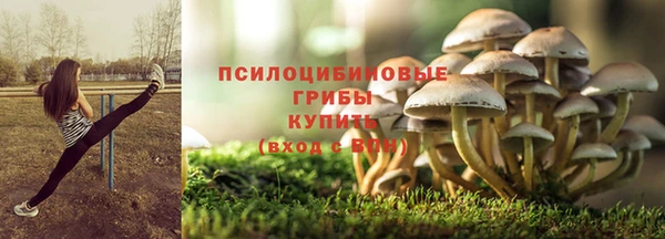 бутират Алексин