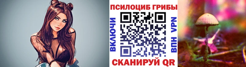 даркнет наркотические препараты  гидра ONION  Александровское  Галлюциногенные грибы Psilocybine cubensis 